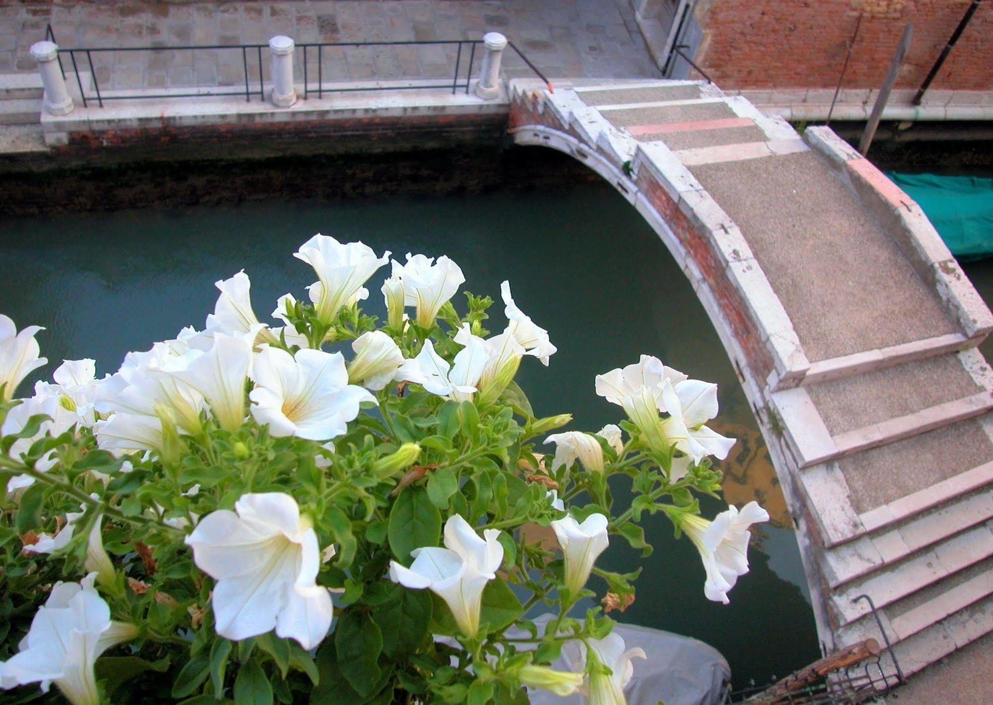Bed and Breakfast 3749 Pontechiodo Wenecja Zewnętrze zdjęcie